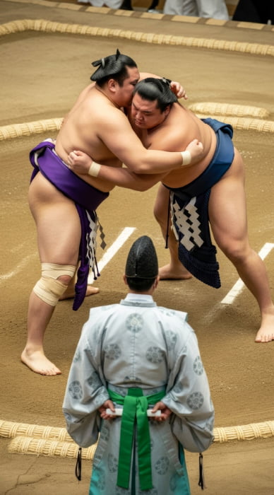 sumo